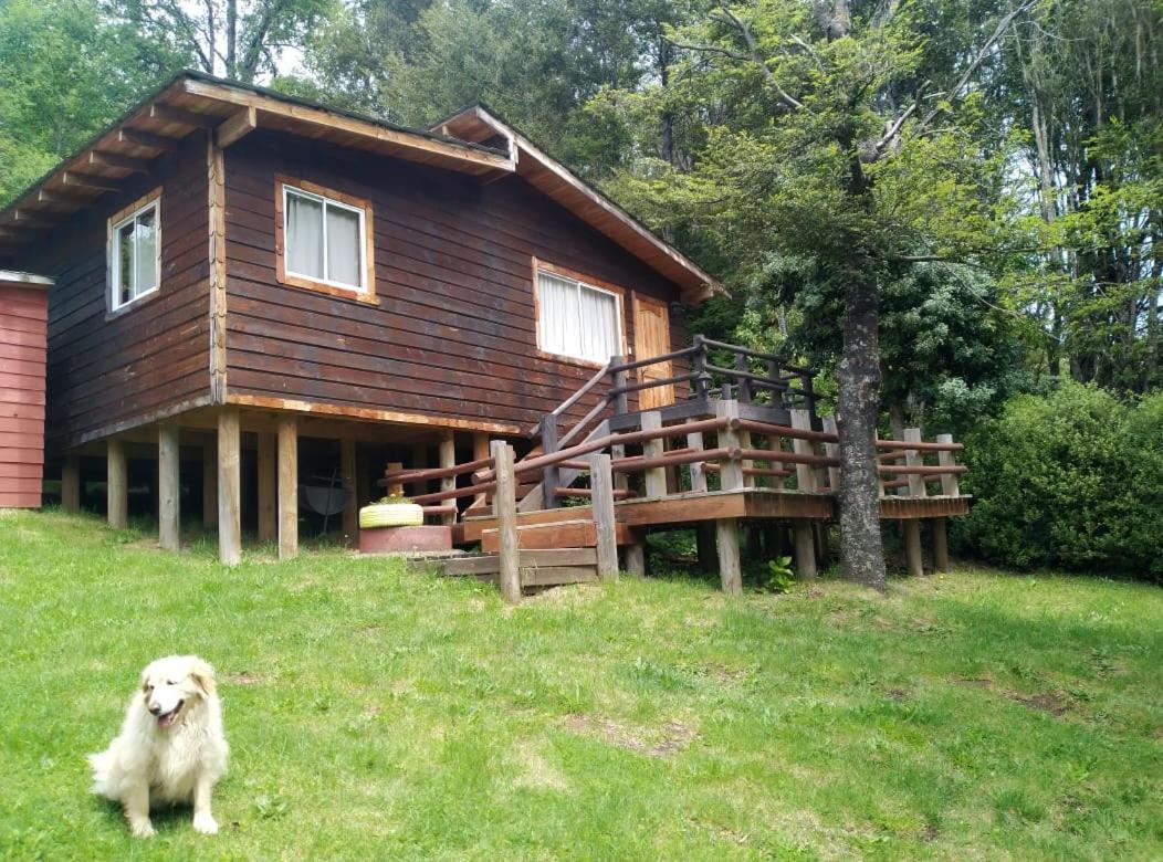5 Con Piscina Apartamento